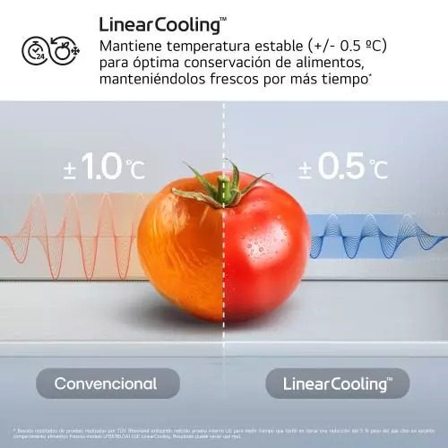 COMBI LG GBBSJ21DPY NF 203X60 D INOX